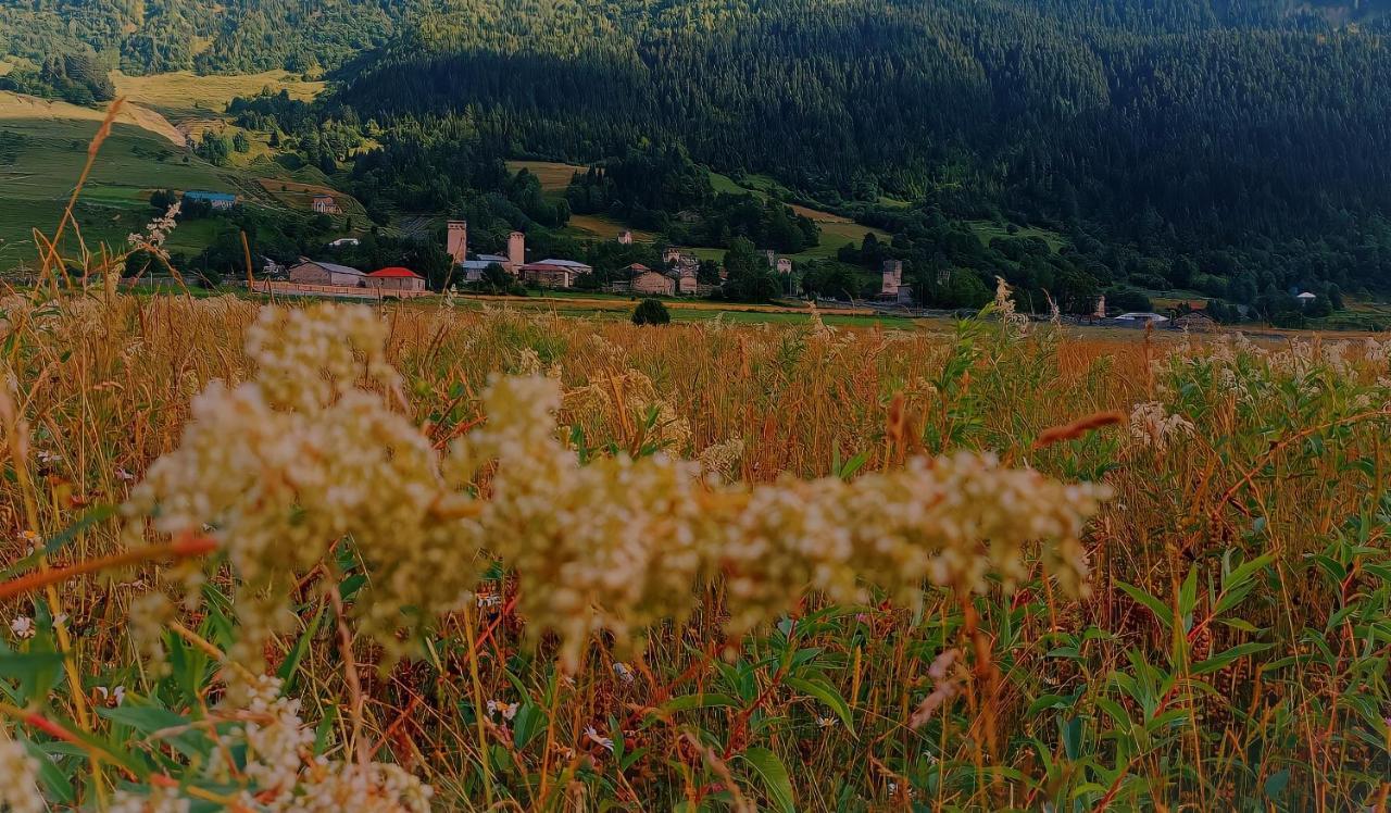 Maizer Qaldani Guesthouse Chvabiani Екстер'єр фото