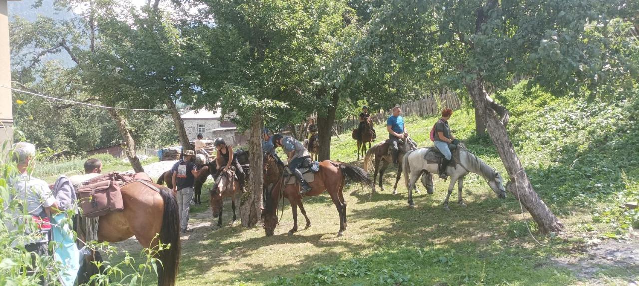 Maizer Qaldani Guesthouse Chvabiani Екстер'єр фото