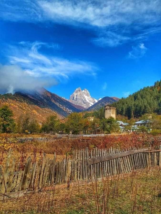 Maizer Qaldani Guesthouse Chvabiani Екстер'єр фото